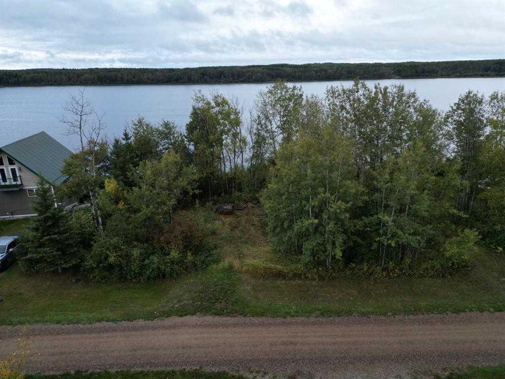 Picture of 000 Rose Meadow Drive , Loon Lake Real Estate Listing