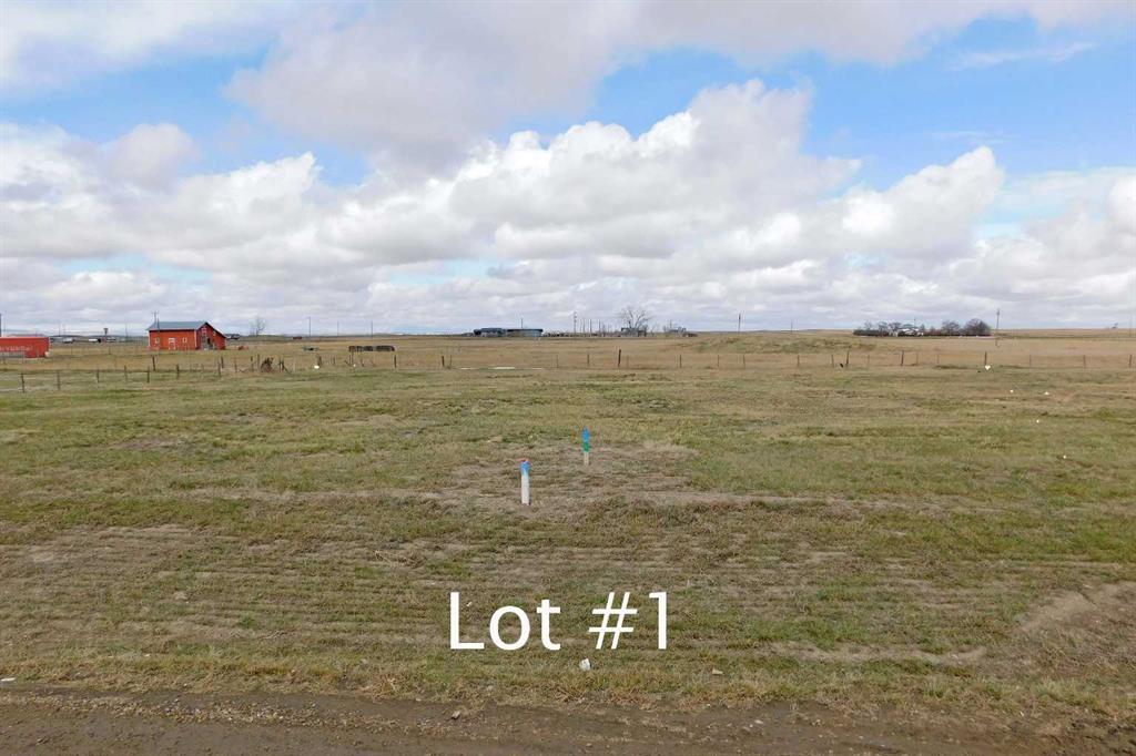Picture of 117 Argyle Street  , Granum Real Estate Listing