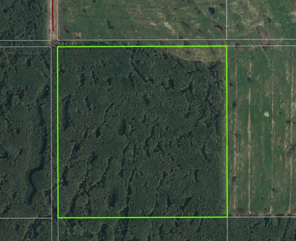 Picture of NW-8-101-17-W5  , Rural Mackenzie County Real Estate Listing