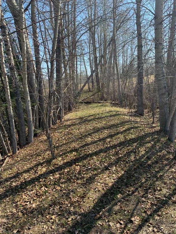 Picture of RGE RD 22  , Rural Parkland County Real Estate Listing