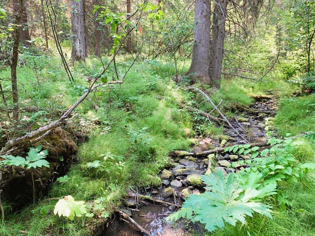 Picture of Mountain Lion Drive , Rural Rocky View County Real Estate Listing