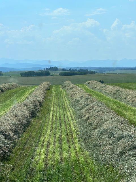 Picture of 177  , Rural Foothills County Real Estate Listing