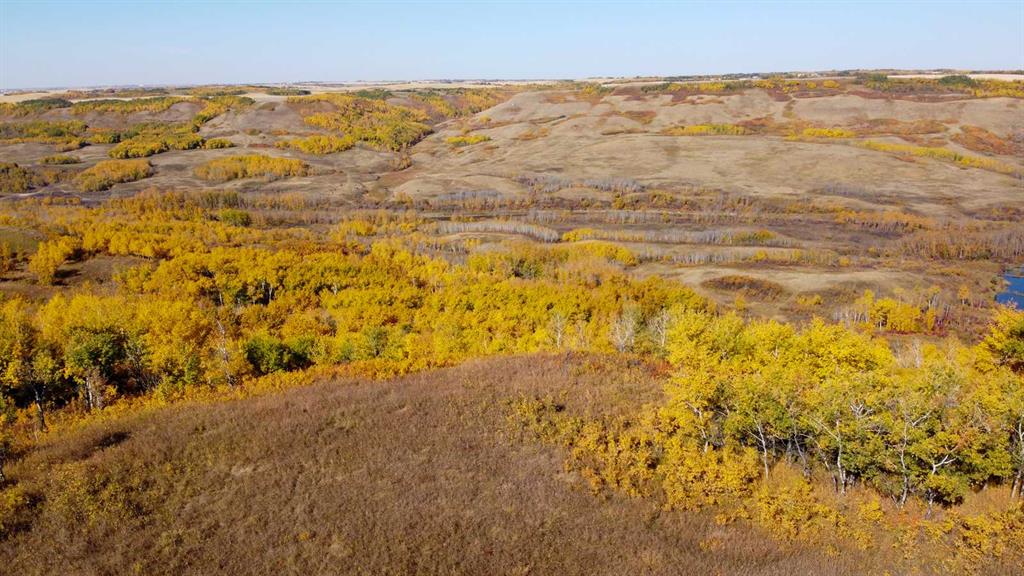 Picture of Pt of SW 35-45-7-W4  , Rural Wainwright No. 61, M.D. of Real Estate Listing