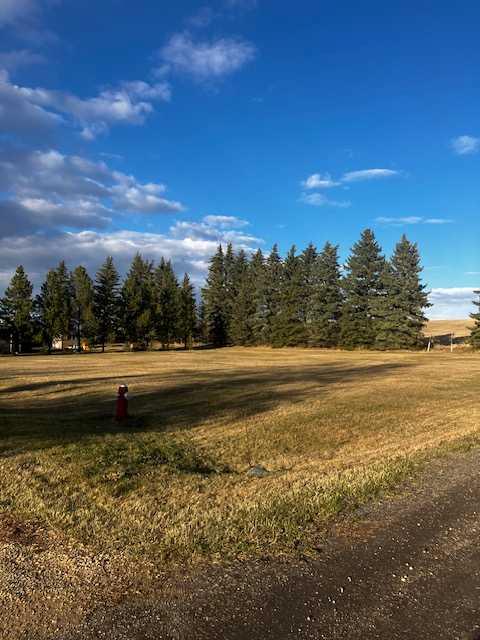 Picture of 228 2 Street S, Huxley Real Estate Listing