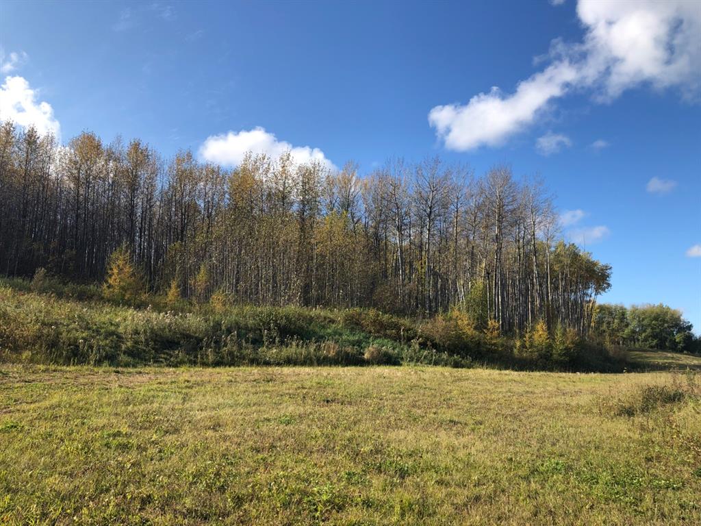 Picture of 115, 16326 Twp Rd 675  , Plamondon Real Estate Listing