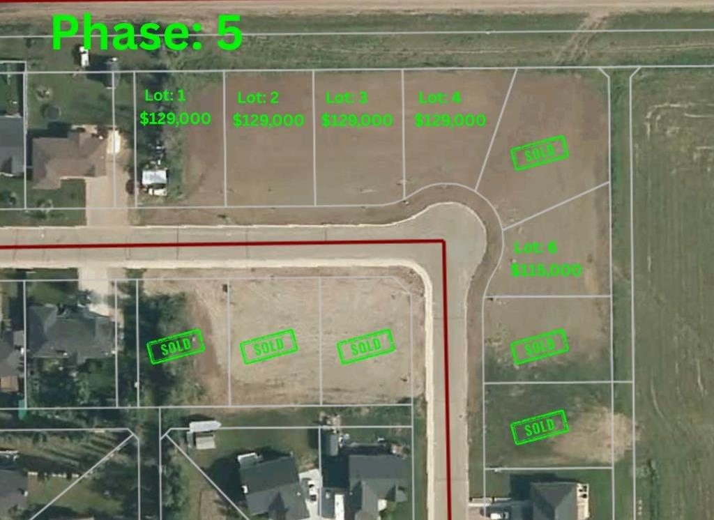 Picture of 10719 110 Street , La Crete Real Estate Listing