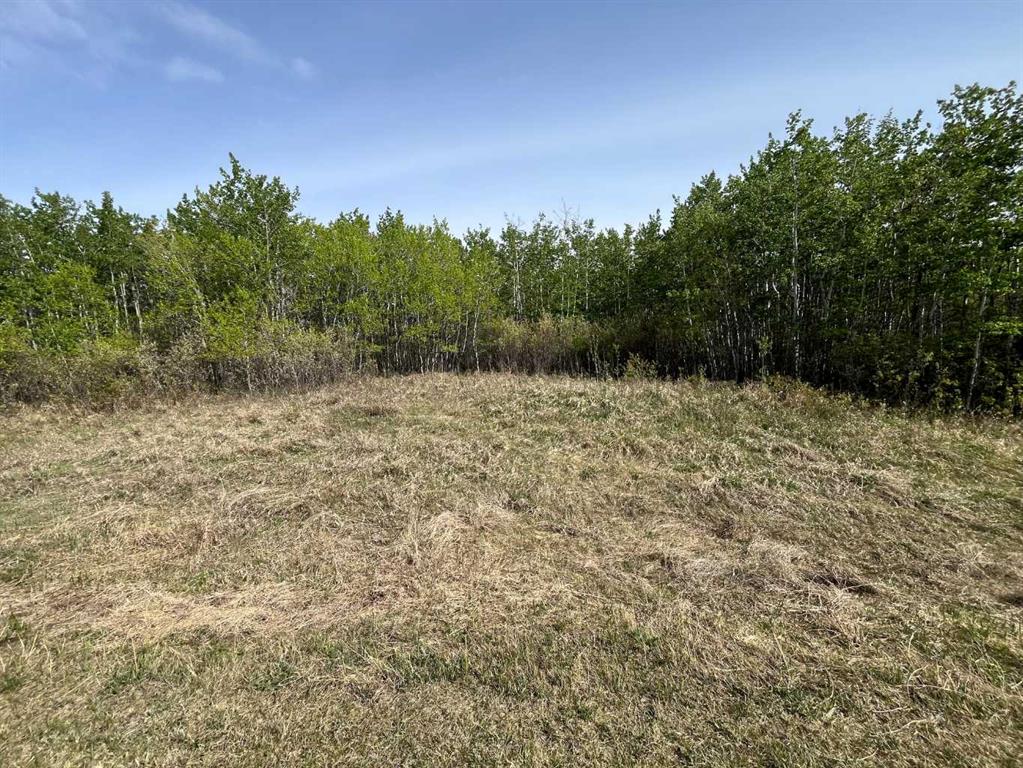 Picture of Grandview Estates  , Rural Vermilion River, County of Real Estate Listing