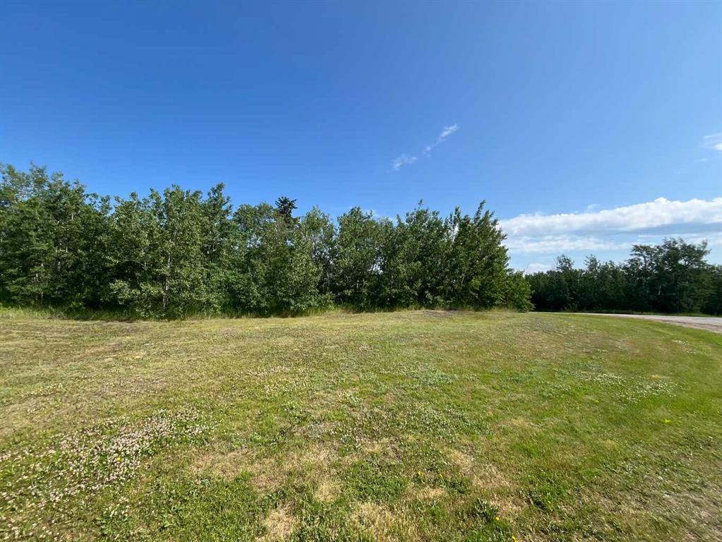 Picture of 12 Wolf Run Drive  , Rural Ponoka County Real Estate Listing