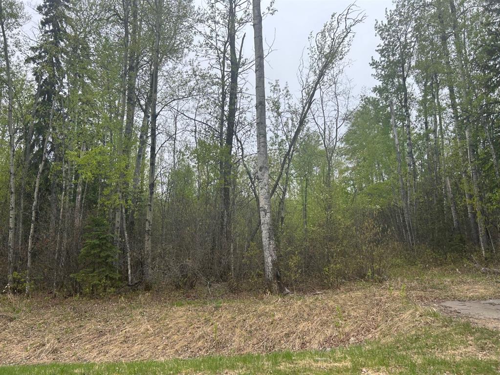 Picture of 123 Poplar Drive Rr Drive , Conklin Real Estate Listing