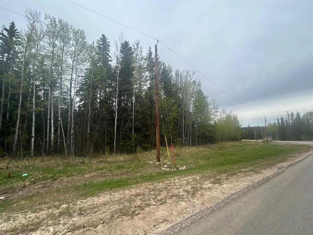 Picture of 126 Poplar Drive Rr  , Conklin Real Estate Listing