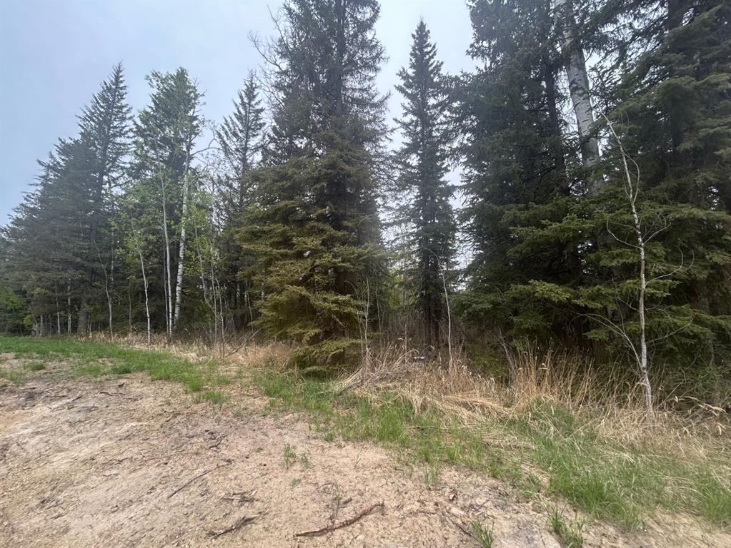 Picture of 148 Christina Lake Drive Rr  , Conklin Real Estate Listing