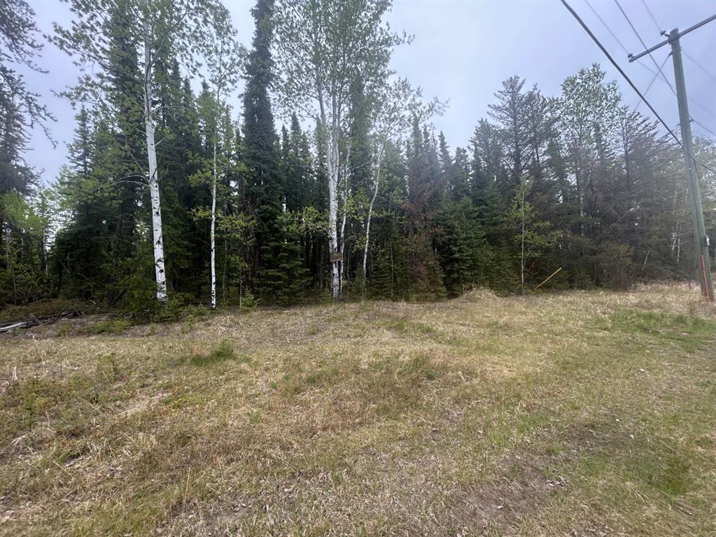 Picture of 172 Christina Lake Drive Rr  , Conklin Real Estate Listing