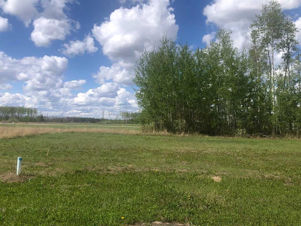Picture of 39 Chonkolay Drive , High Level Real Estate Listing