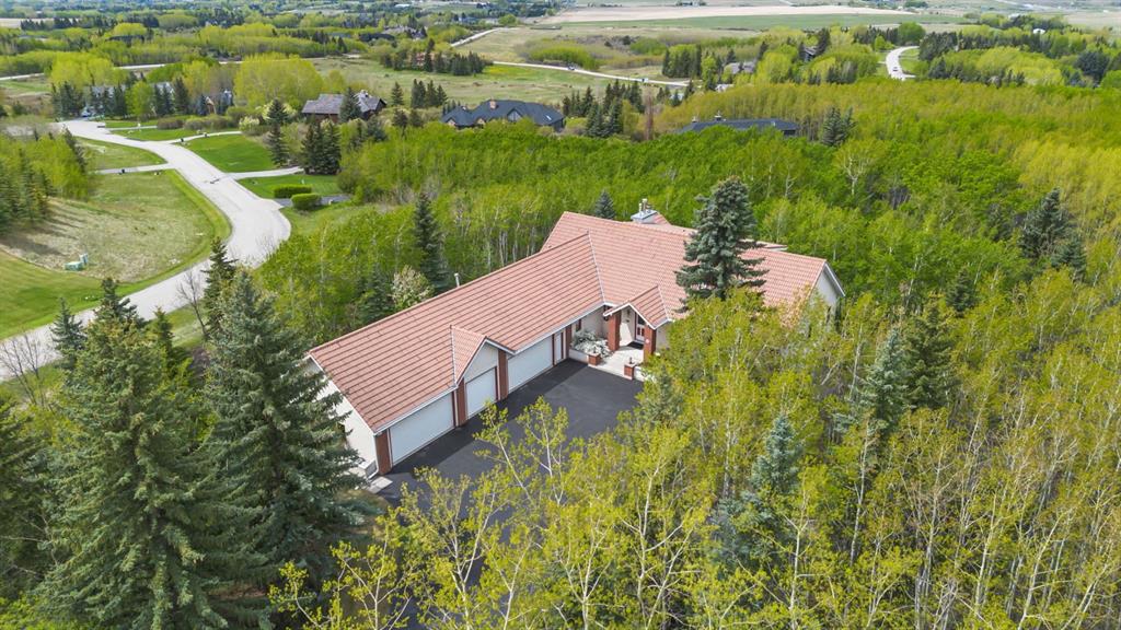 Picture of 31 Artist View Pointe , Rural Rocky View County Real Estate Listing