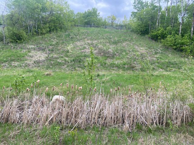Picture of 101, 19518 Township Road 452  , Tillicum Beach Real Estate Listing