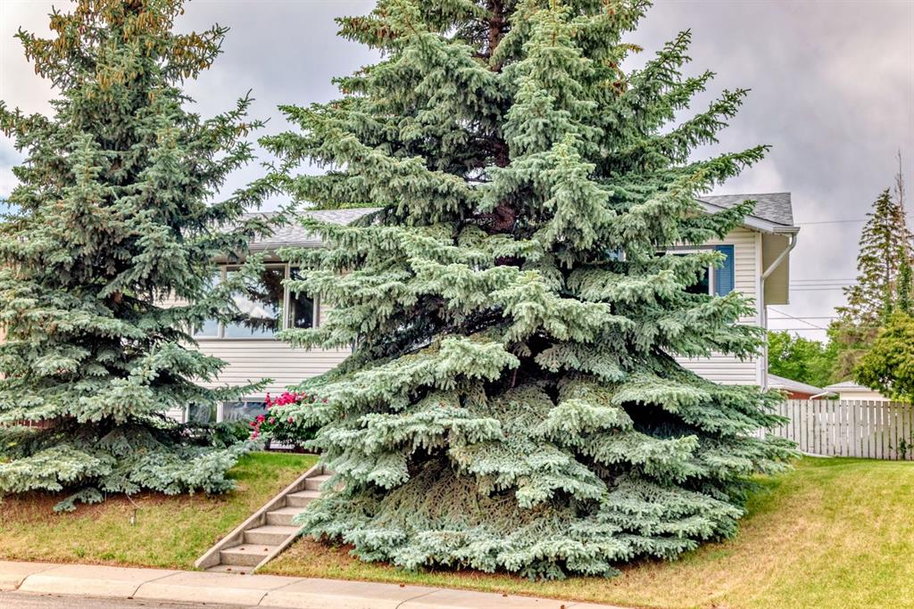 Picture of 5036 Marshall Road NE, Calgary Real Estate Listing