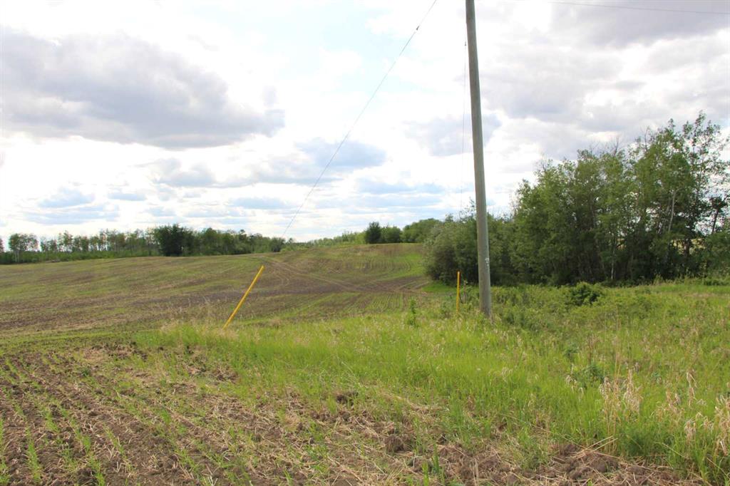Picture of 6071 TWP Rd 800  , Spirit River Real Estate Listing