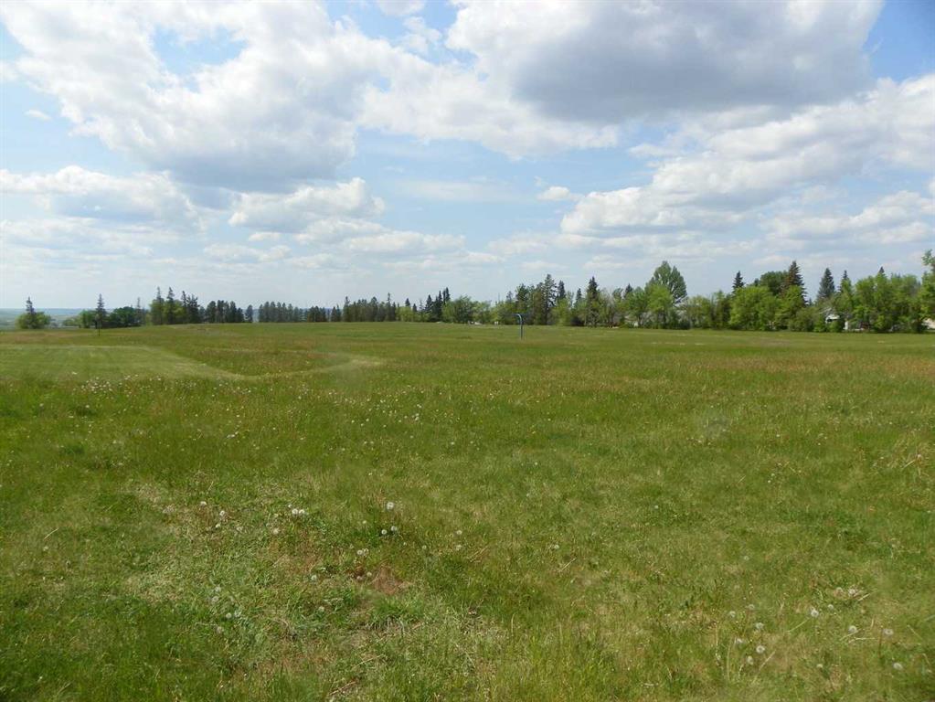 Picture of 6 Ave Avenue NE, Three Hills Real Estate Listing