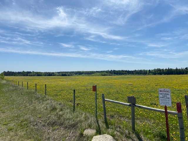 Picture of RR50  , Rural Mountain View County Real Estate Listing