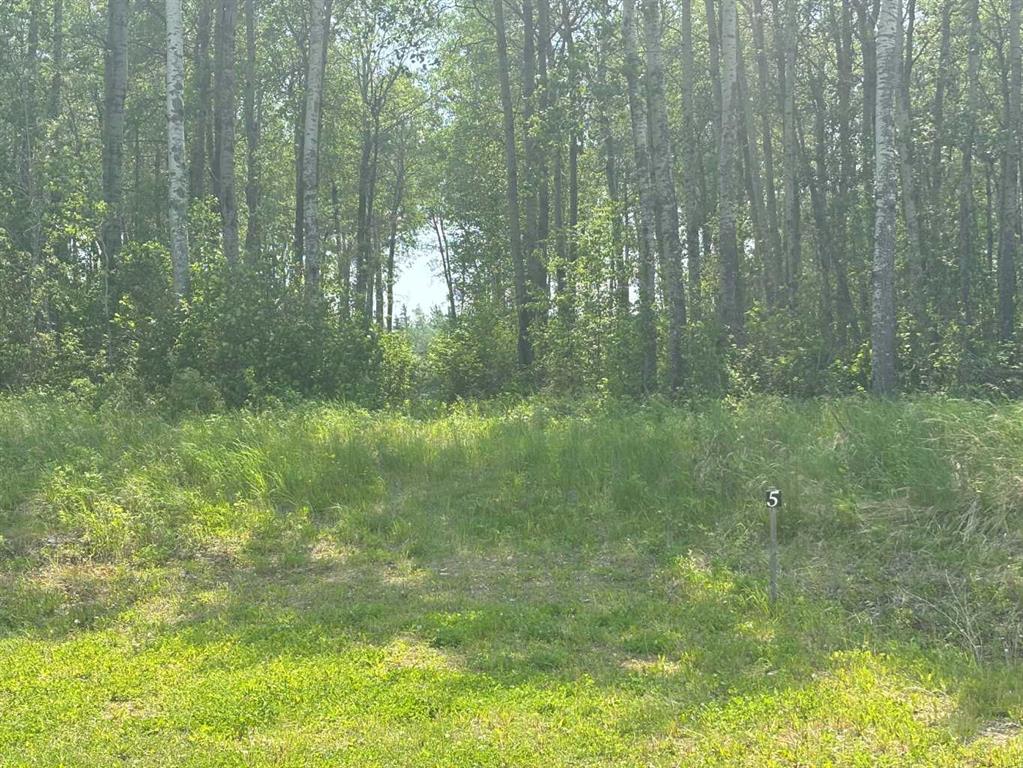 Picture of #5, 660023 Range Road 224 , Rural Athabasca County Real Estate Listing