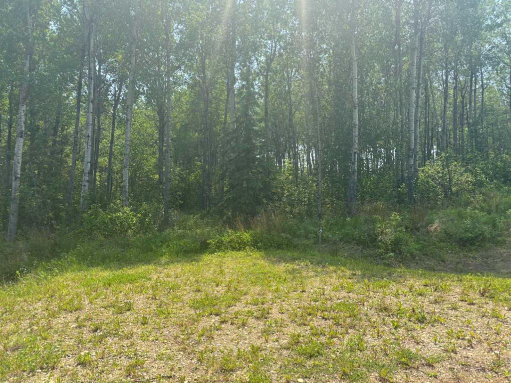 Picture of #6, 660023 Range Road 224  , Rural Athabasca County Real Estate Listing