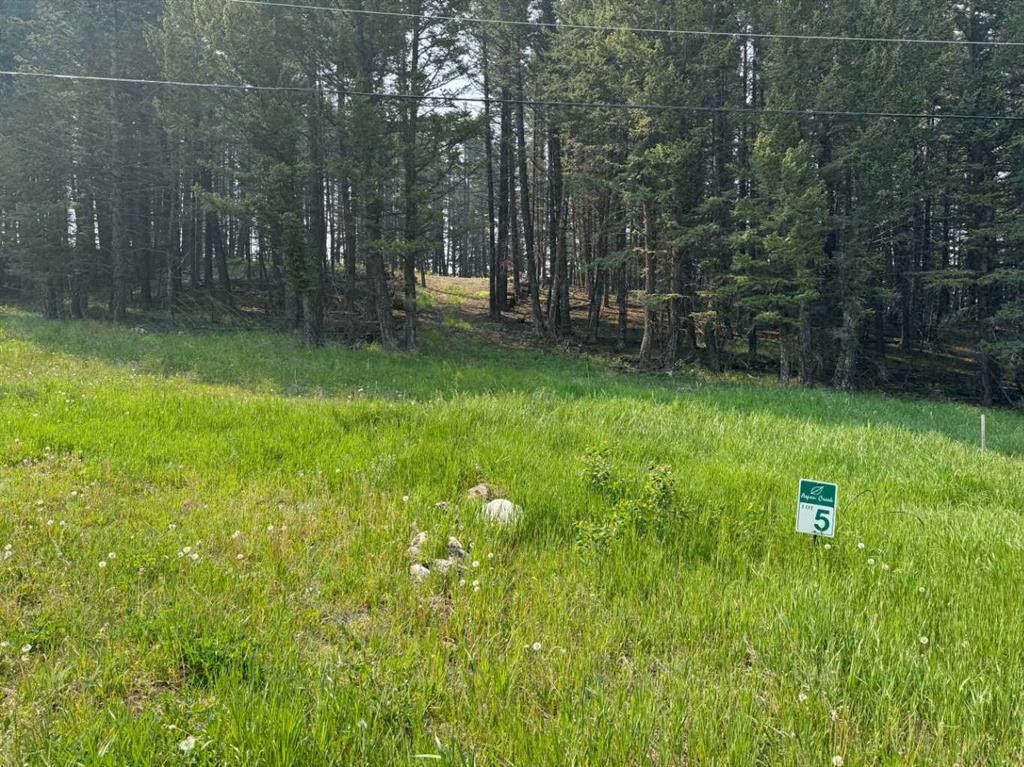 Picture of 5, 8717 24 Avenue , Coleman Real Estate Listing