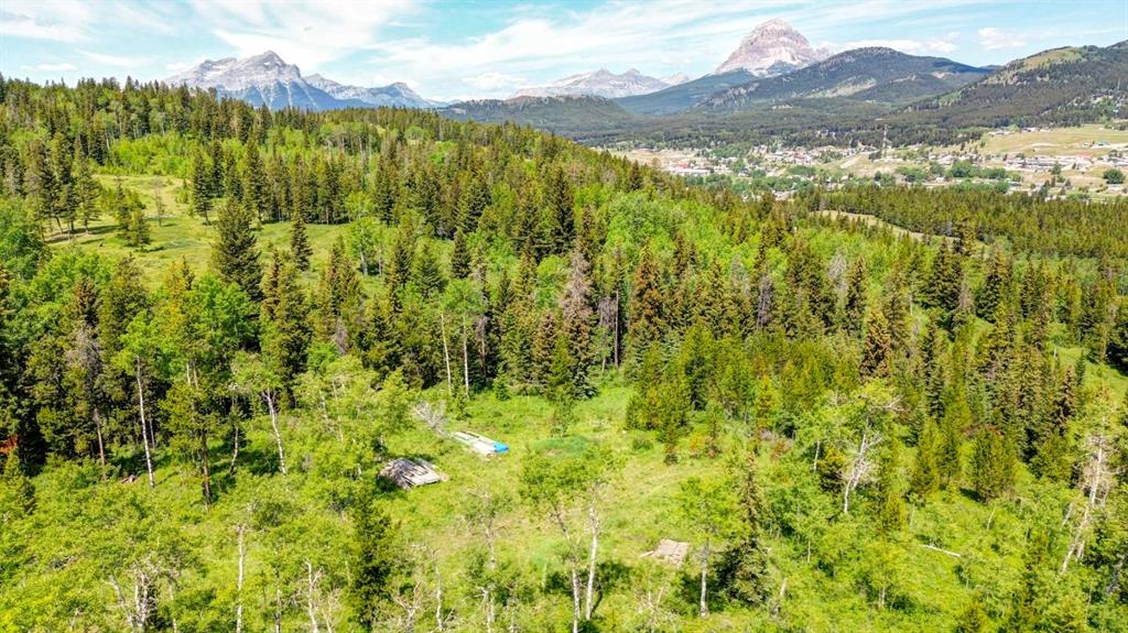 Picture of 1854 York Creek Drive , Blairmore Real Estate Listing