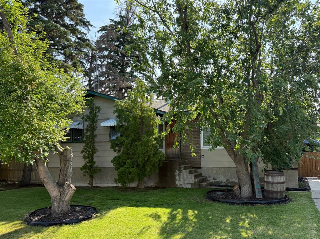 Picture of 517 Tulip Street , Rosemary Real Estate Listing