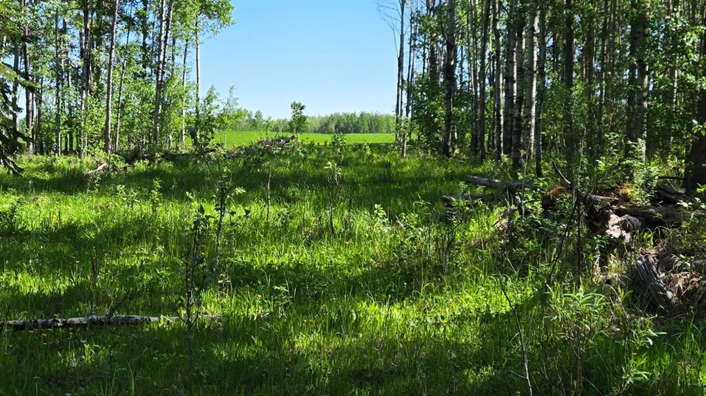 Picture of Highway 20  , Rural Ponoka County Real Estate Listing