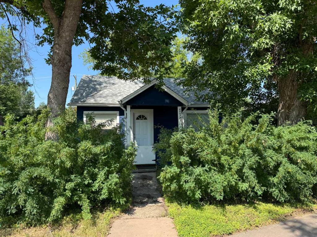 Picture of 117 Centre Street , Drumheller Real Estate Listing