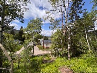 Picture of 133 16 ave  , Blairmore Real Estate Listing
