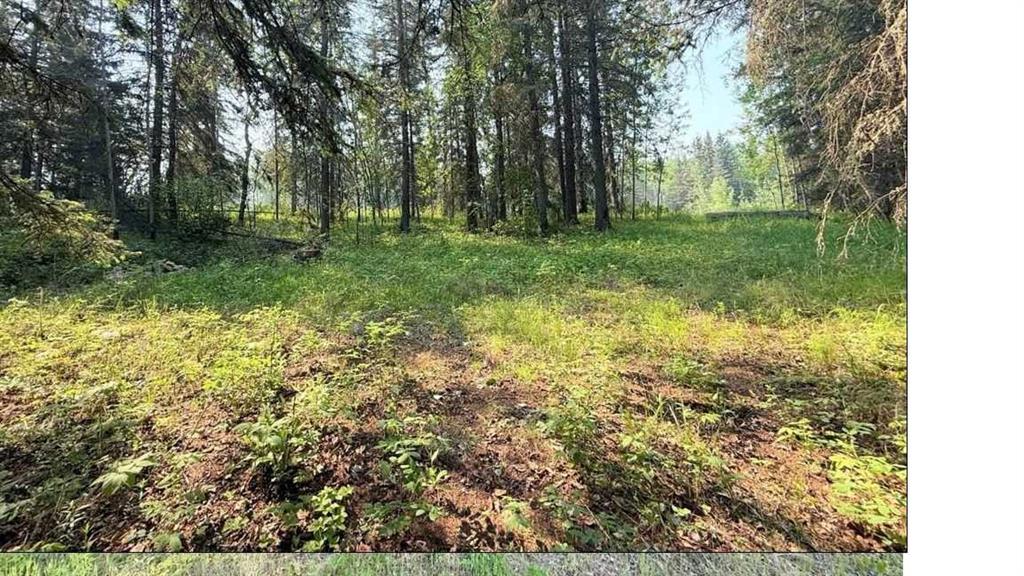 Picture of 221054 670 Township , Rural Athabasca County Real Estate Listing
