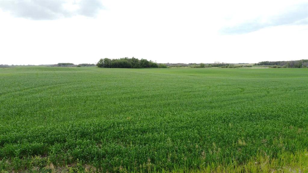 Picture of 163 Range , Rural Beaver County Real Estate Listing