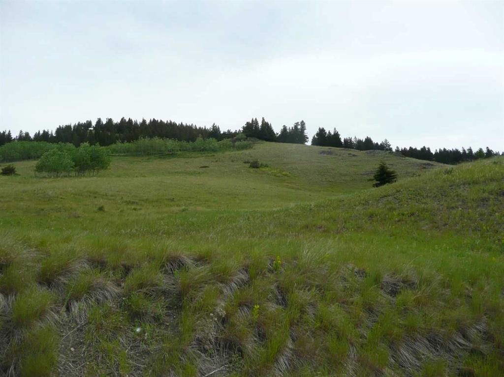 Picture of 2211 89 Street , Coleman Real Estate Listing