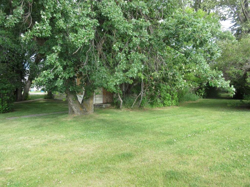 Picture of 4804 50 Avenue , Rocky Mountain House Real Estate Listing