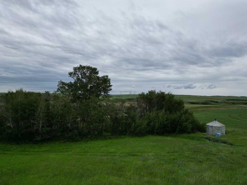 Picture of Hwy 9 RR19-5A Starland County  , Rural Starland County Real Estate Listing