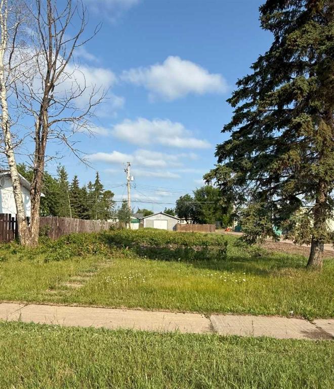 Picture of 10006 99 Street , High Level Real Estate Listing