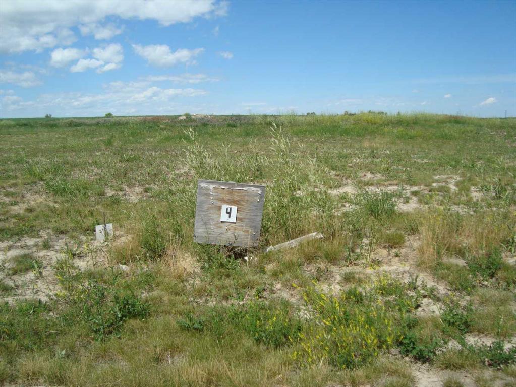 Picture of 520 Coulee Trail , Stavely Real Estate Listing