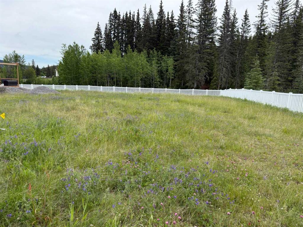 Picture of 359 Elizabeth Avenue , Nordegg Real Estate Listing