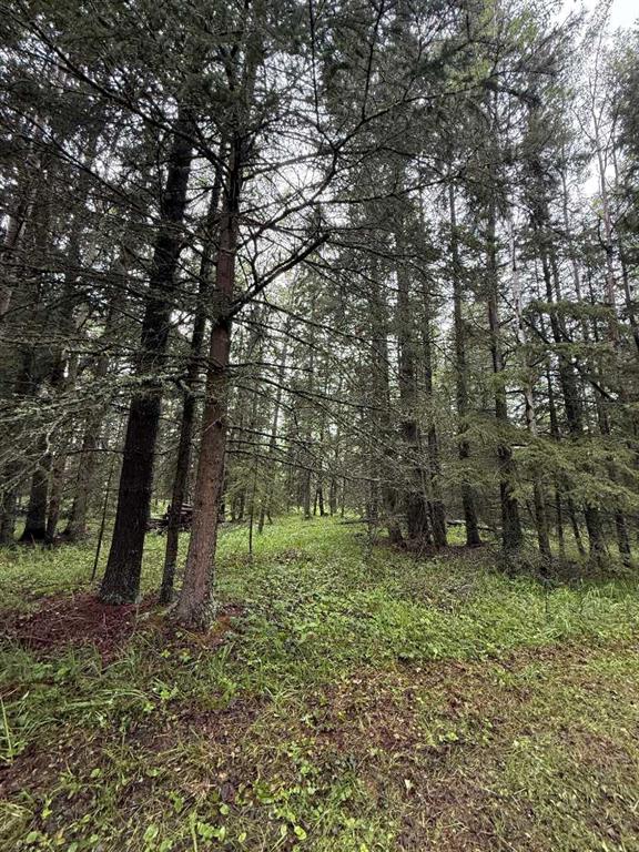 Picture of 43, 50084 TWP RD 35-0  , Rural Clearwater County Real Estate Listing