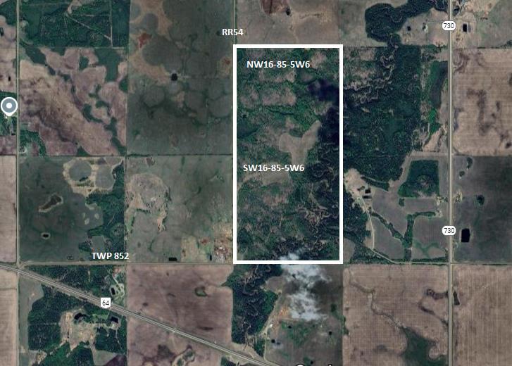 Picture of SW & NW 16-85-5 W6  , Rural Clear Hills County Real Estate Listing