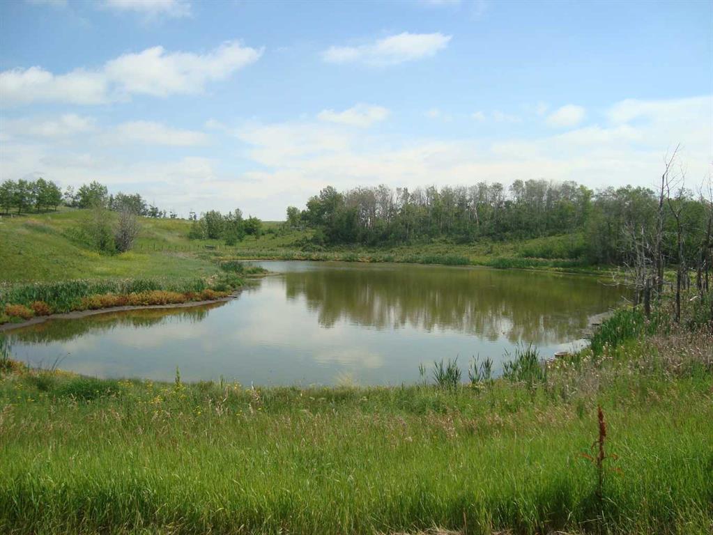 Picture of Hi Way 590  , Rural Red Deer County Real Estate Listing