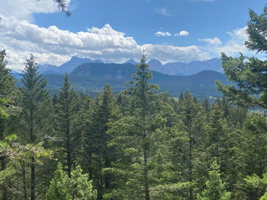 Picture of 2598 89 Street , Coleman Real Estate Listing