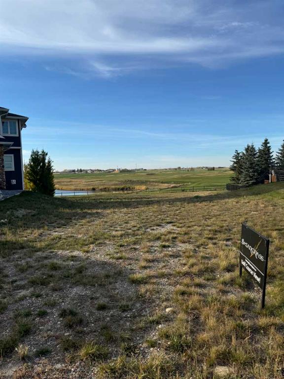 Picture of 141 Speargrass Close , Carseland Real Estate Listing