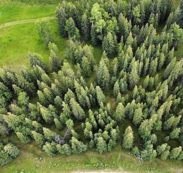 Picture of 2 Juniper Ridge , Rural Yellowhead County Real Estate Listing