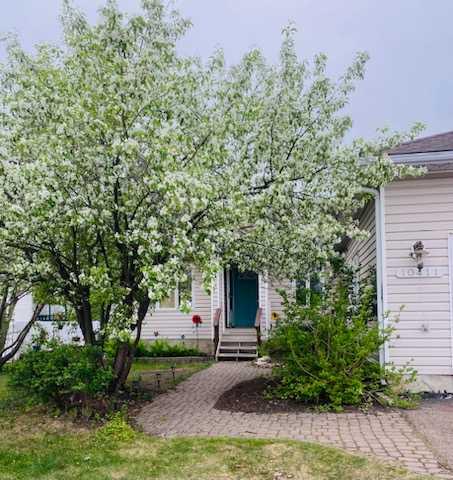 Picture of 10411 109 Avenue , High Level Real Estate Listing