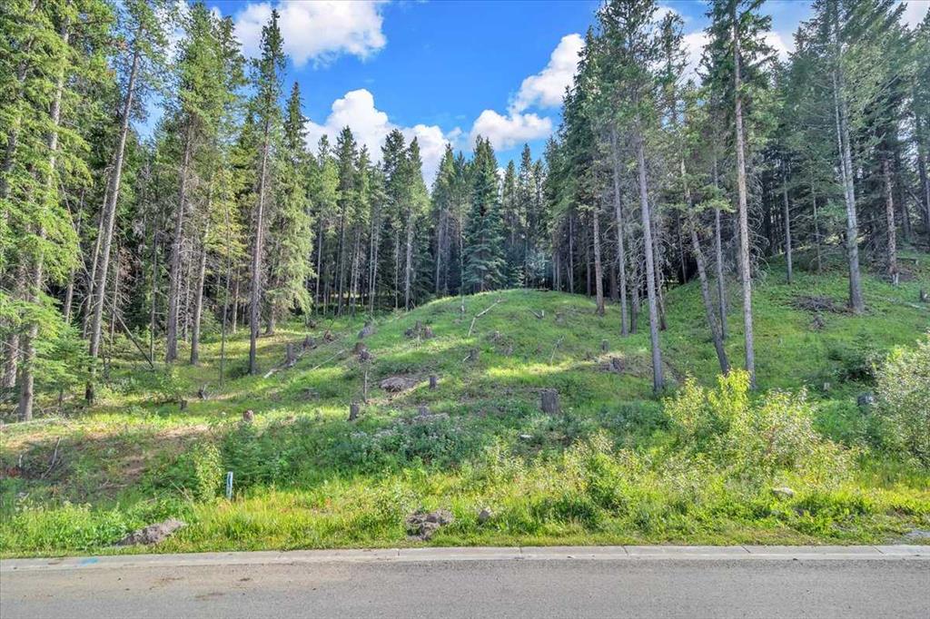 Picture of 262 Southmore Place , Blairmore Real Estate Listing