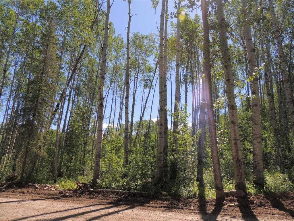 Picture of Lot #36 Wapiti River SW-21-69-10-W6 , Rural Grande Prairie No. 1, County of Real Estate Listing