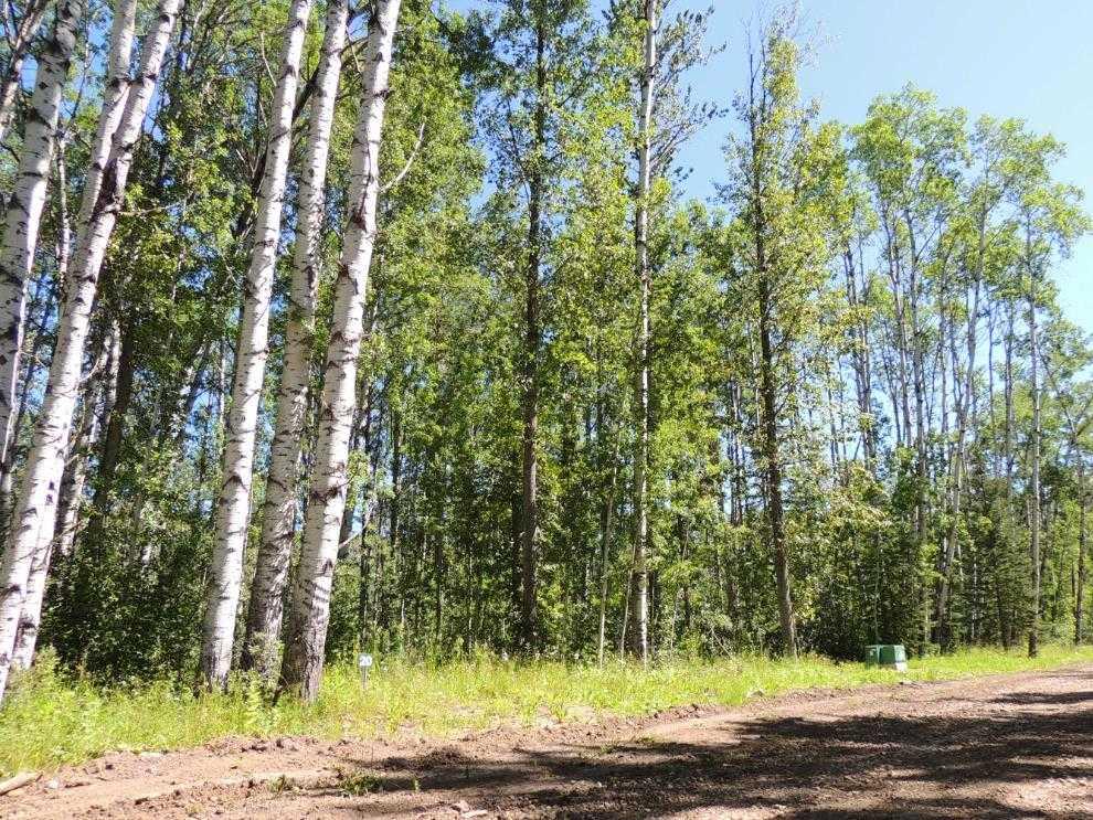 Picture of Lot #20 Wapiti River SW-21-69-10-W6 , Rural Grande Prairie No. 1, County of Real Estate Listing