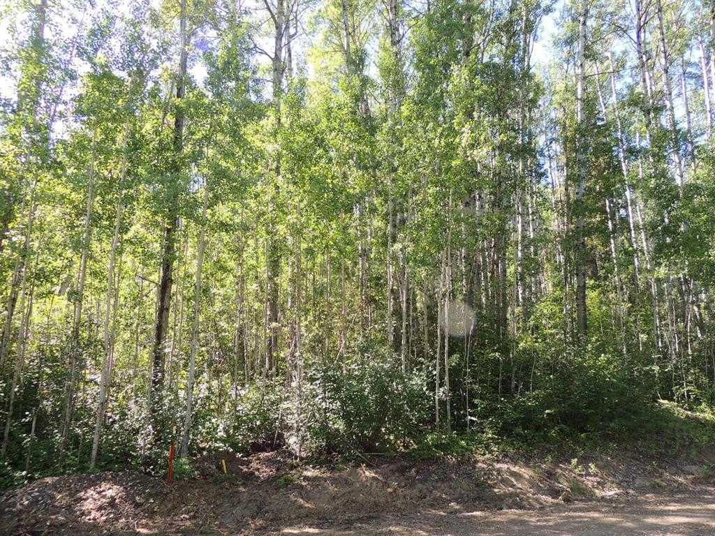 Picture of Lot #11 Wapiti River SW-21-69-10-W6 , Rural Grande Prairie No. 1, County of Real Estate Listing
